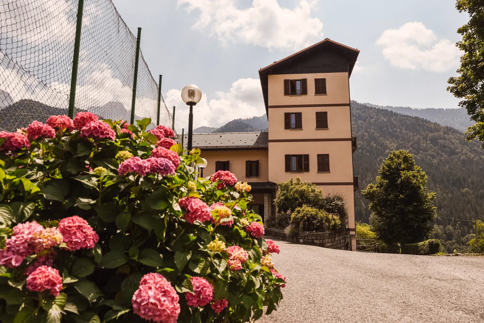 Ingresso della casa con ortensie e montagne
